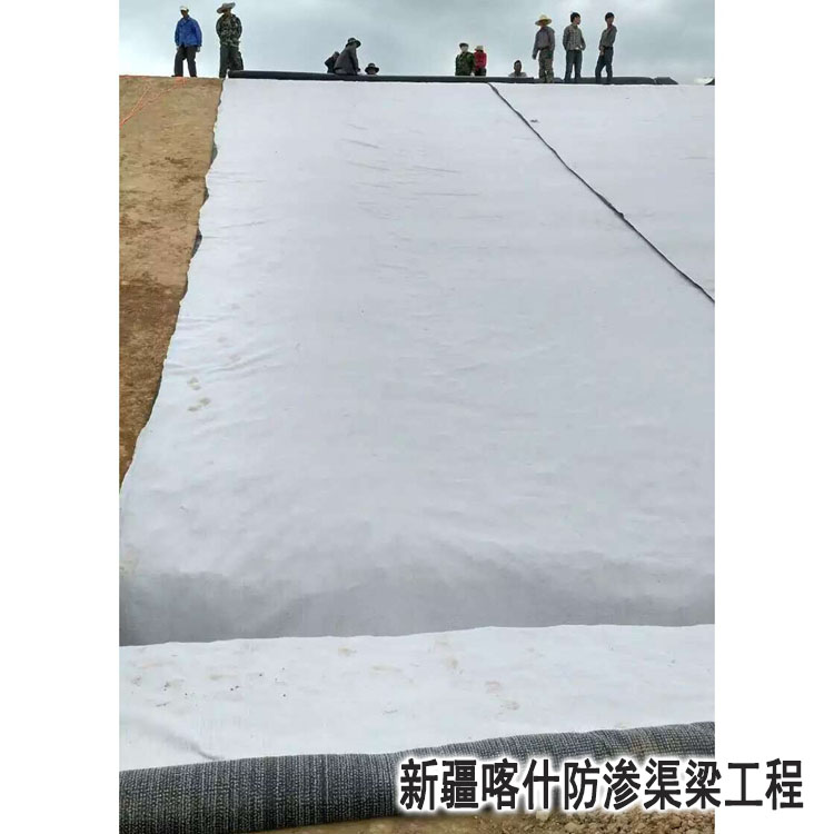 新(xin)疆喀什(shí)防滲渠(qu)梁工程(chéng)